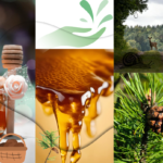 На снимката има мед, клонче с шишарка, елен, охлюв, ръка.